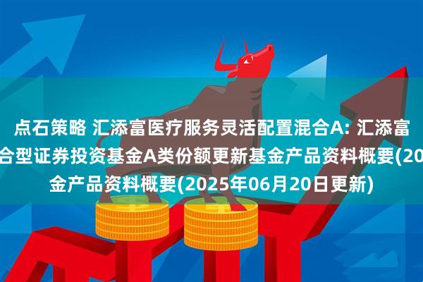 点石策略 汇添富医疗服务灵活配置混合A: 汇添富医疗服务灵活配置混合型证券投资基金A类份额更新基金产品资料概要(2025年06月20日更新)