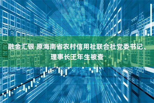 融金汇银 原海南省农村信用社联合社党委书记、理事长王年生被查