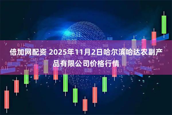 倍加网配资 2025年11月2日哈尔滨哈达农副产品有限公司价格行情