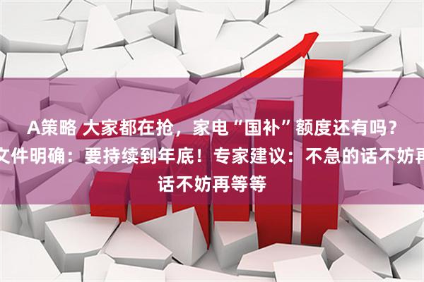 A策略 大家都在抢，家电“国补”额度还有吗？最新文件明确：要持续到年底！专家建议：不急的话不妨再等等