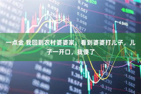 一点金 我回到农村婆婆家，看到婆婆打儿子，儿子一开口，我傻了