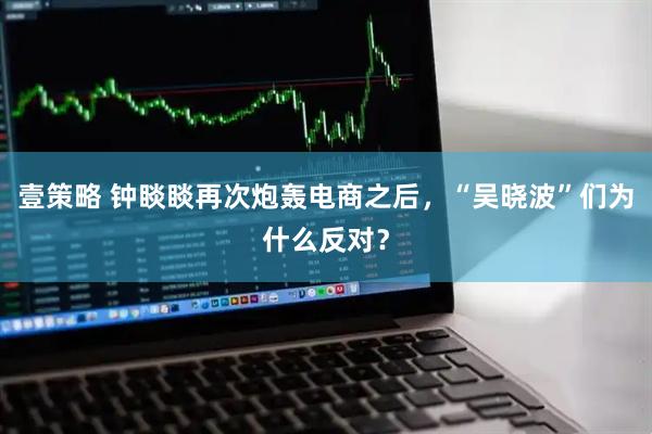 壹策略 钟睒睒再次炮轰电商之后，“吴晓波”们为什么反对？